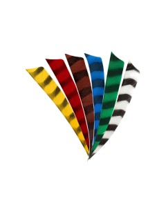 BEARPAW FEATHER BARRED SHIELD 5" (127.0 mm)