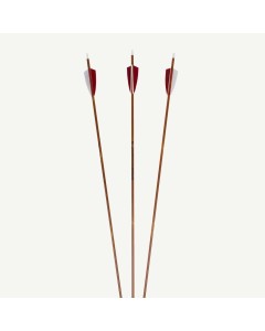 PENTHALON SLIM LINE BAMBOO CARBON ARROW, ID 0.175" (4.4 mm)