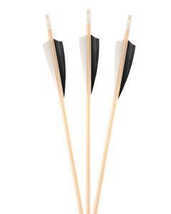 TAS WOODEN ARROW, NORTHERN PINE