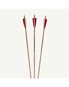 PENTHALON TRADITIONAL BAMBOO CARBON ARROW, ID 0.245" (6.22 mm)