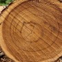 PORT ORFORD WOODEN SHAFT, CEDAR