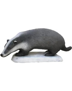 Tinta 3d Srt Bursuc, Grupa 3, 80 X 40 Cm