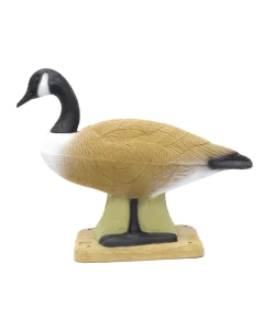 Tinta 3d Srt Gasca Canadiana, Grupa 3, 78 X 60 Cm