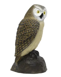 Tinta 3d Srt Bufnita Tipatoare, Grupa 4, 25 X 52 Cm