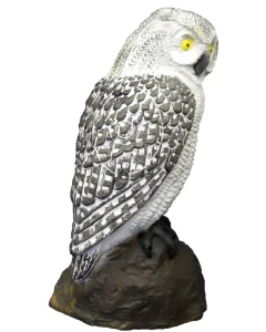 Tinta 3d Srt Bufnita Tipatoare Alba, Grupa 4, 25 X 52 Cm