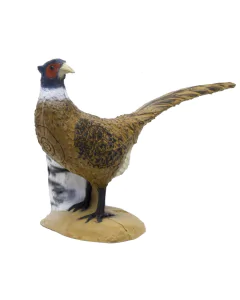 Tinta 3d Srt Fazan, Grupa 4, 72 X 52 Cm