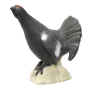 Tinta 3d Srt Black Cock, Grupa 4, 54 X 58 Cm